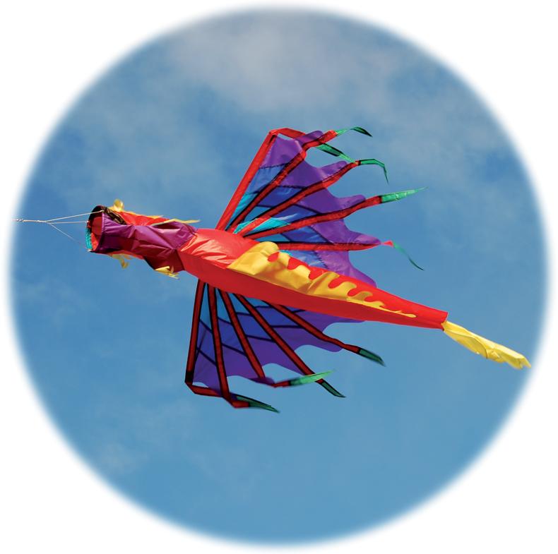  Dragon Windsock - Fire