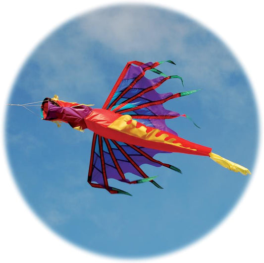  Dragon Windsock - Fire