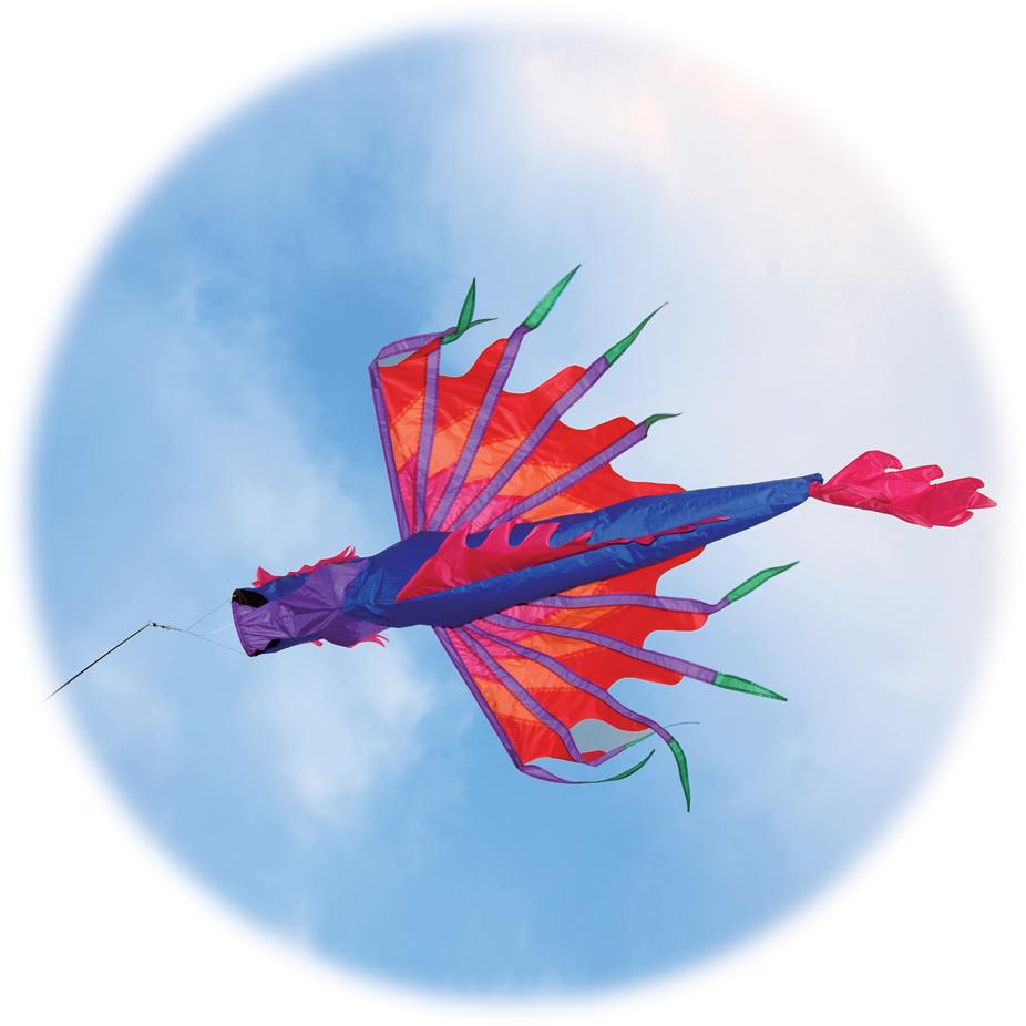  Dragon Windsock - Blue