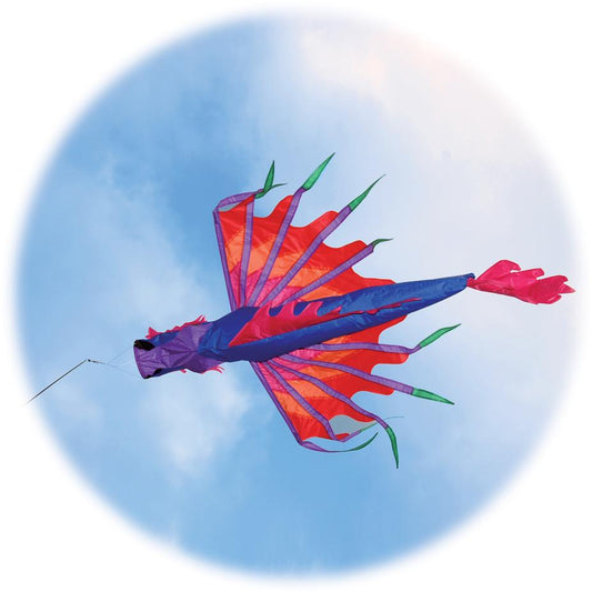  Dragon Windsock - Blue